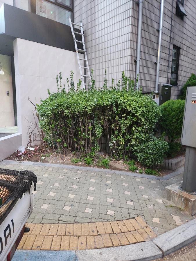 금천 보도블럭교체 현장 사진 4